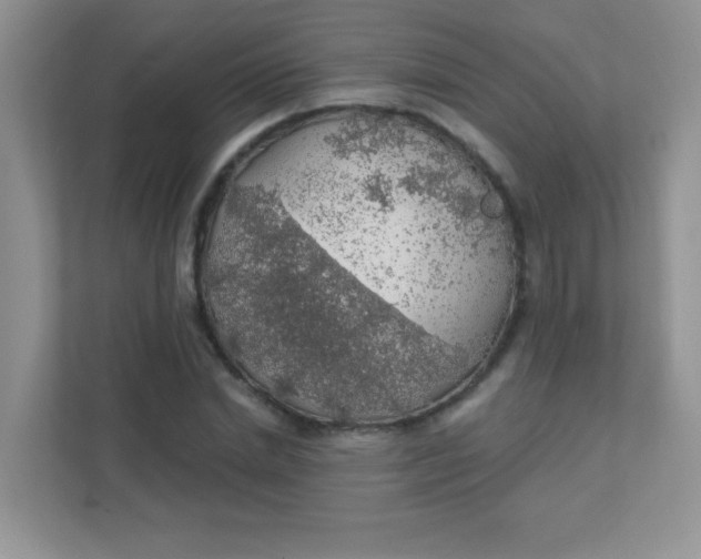 X0000111380830200907311052