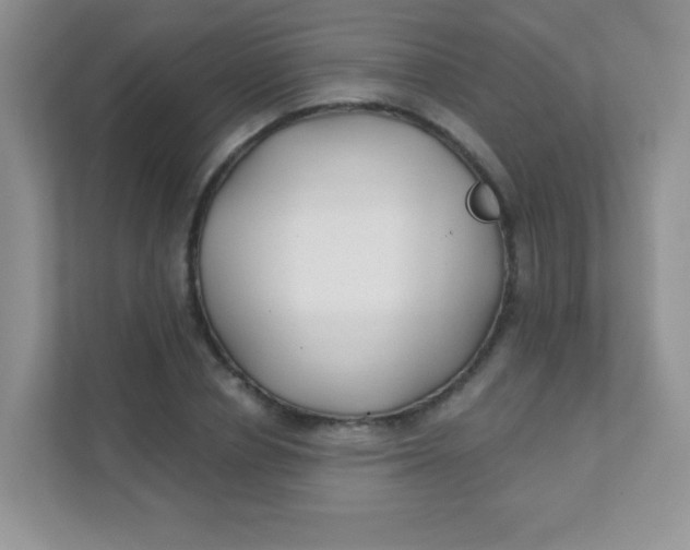 X0000111380834200907311052