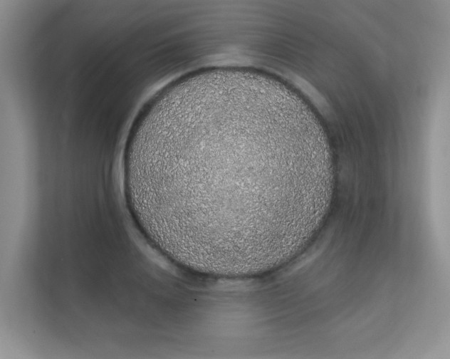 X0000111380840200907311052