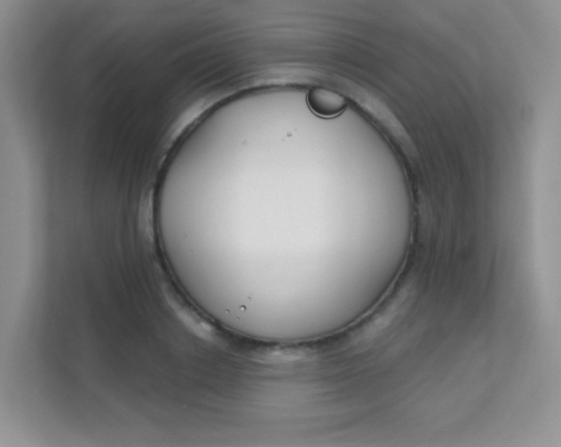 X0000111380842200907311052