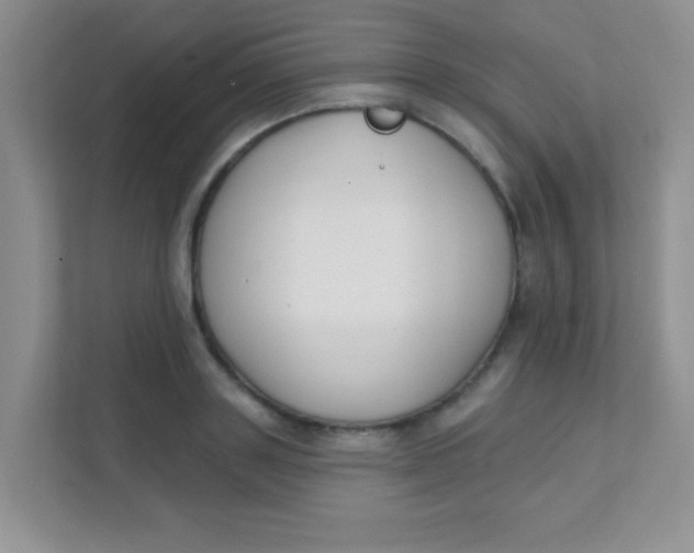 X0000111380843200907311052