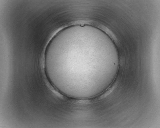 X0000111380844200907311052