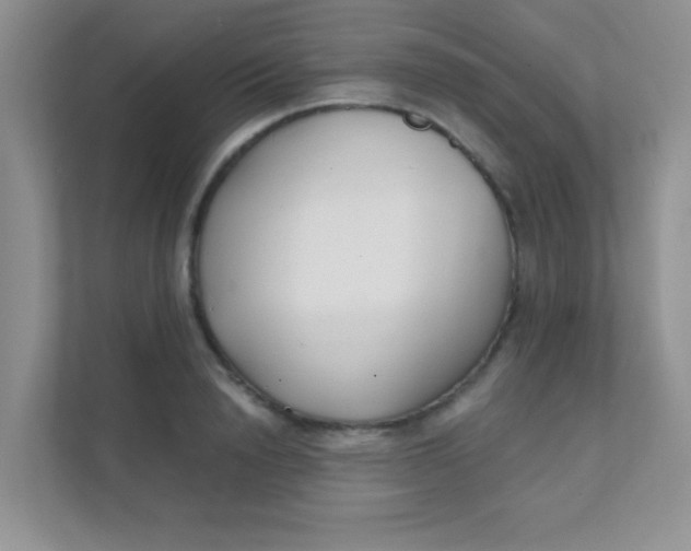 X0000111380846200907311052