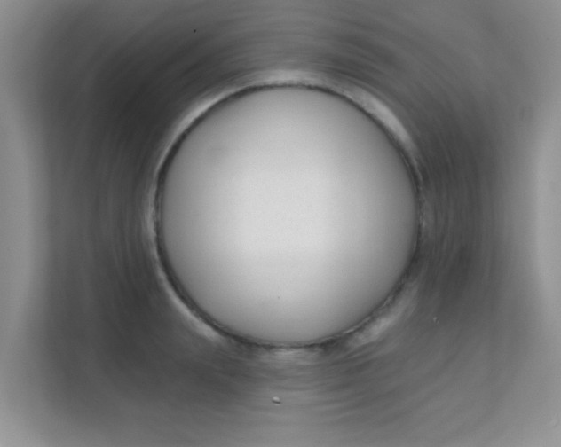 X0000111380847200907311052