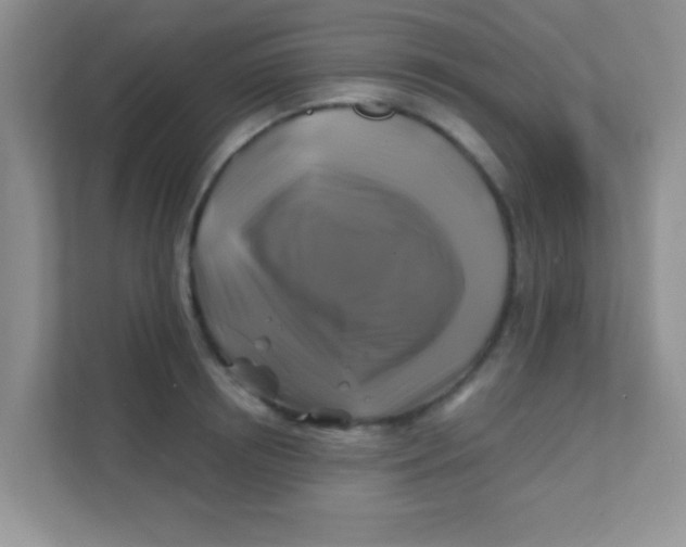 X0000111380850200907311052