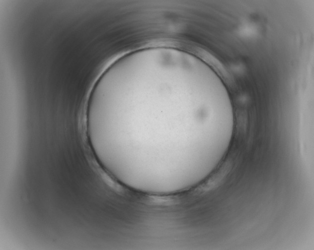 X0000111380852200907311052