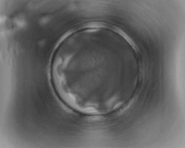 X0000111380853200907311052