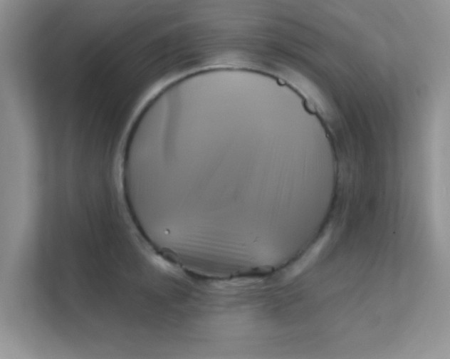 X0000111380854200907311052