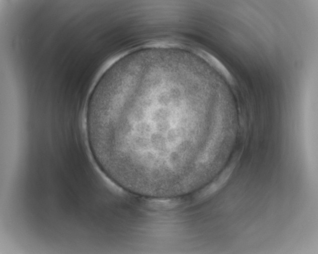 X0000111380855200907311052