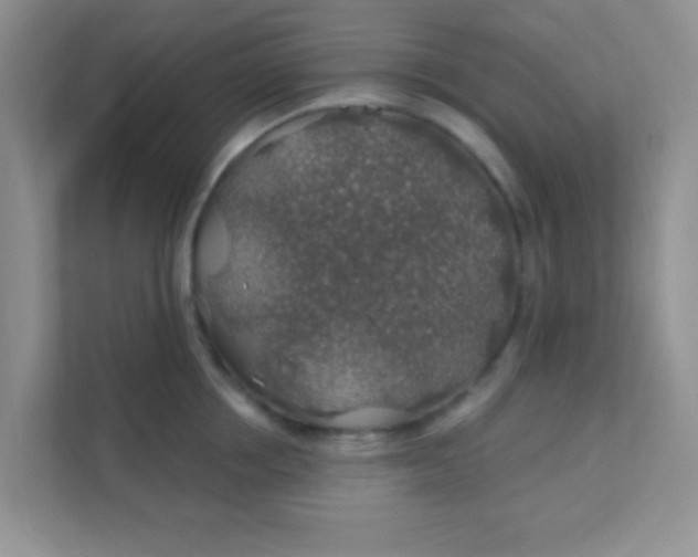 X0000111380858200907311052