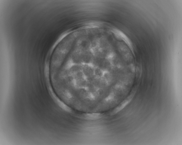 X0000111380859200907311052