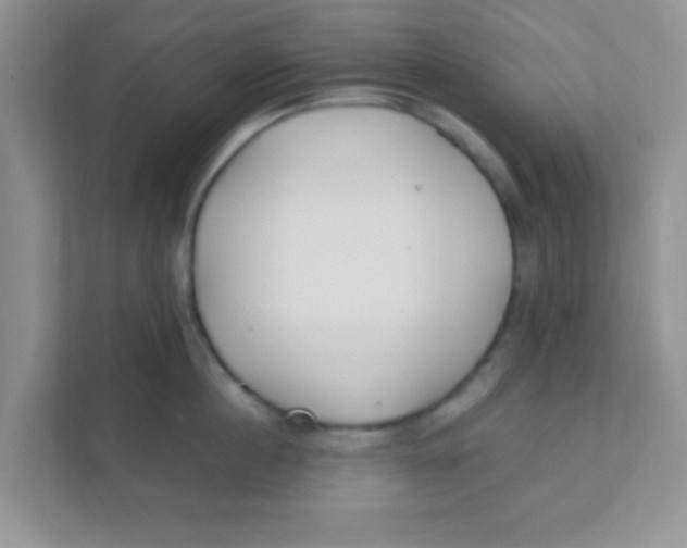 X0000111380860200907311052