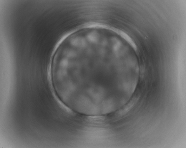 X0000111380863200907311052