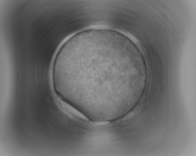 X0000111380864200907311052