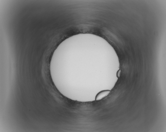 X0000111380865200907311051