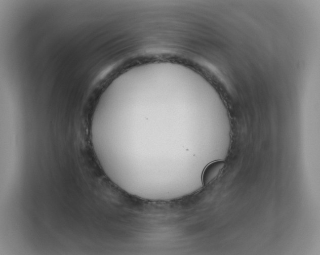 X0000111380871200907311051