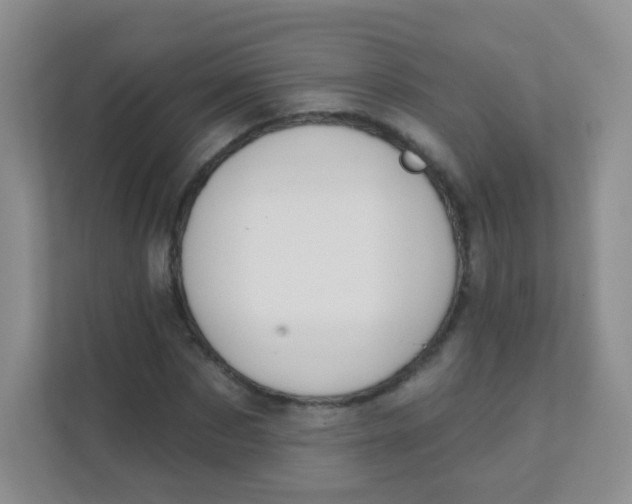 X0000111380873200907311051