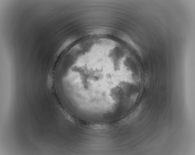 X0000111380874200907311051