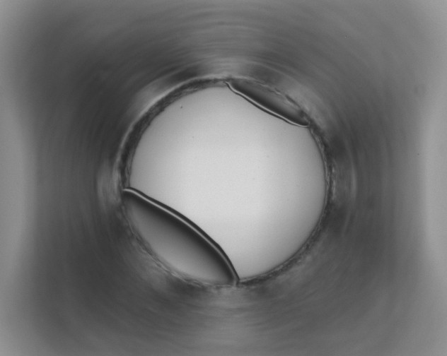 X0000111380876200907311051