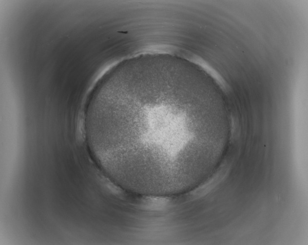 X0000111380878200907311051