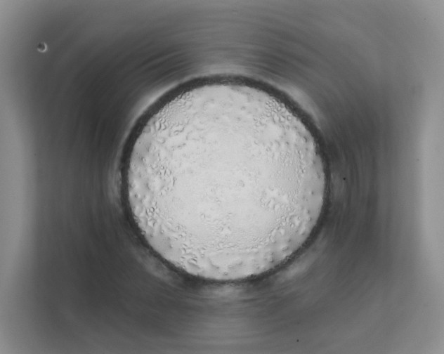 X0000111380879200907311051