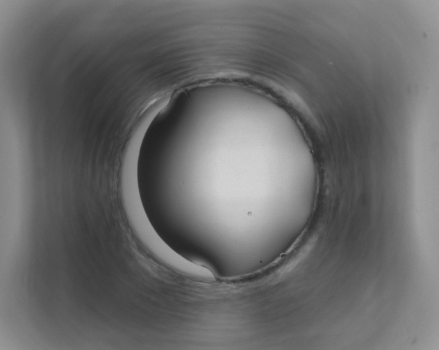 X0000111380881200907311051