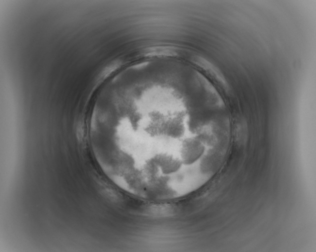 X0000111380882200907311051