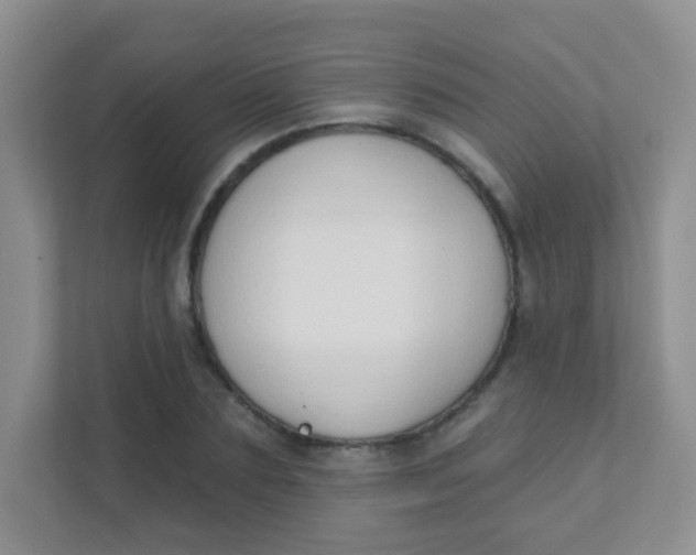 X0000111380883200907311051