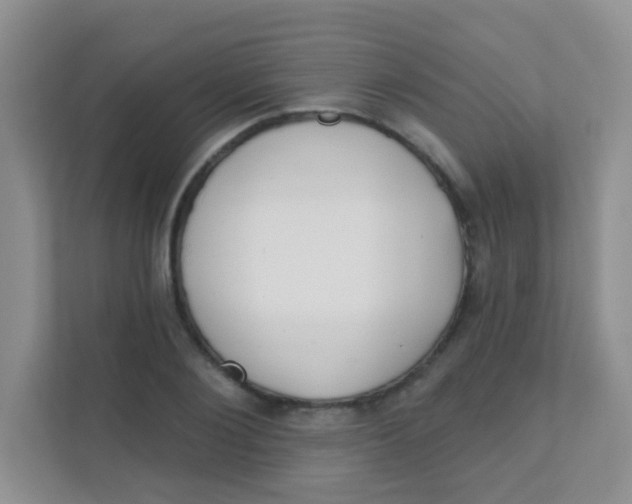 X0000111380884200907311051