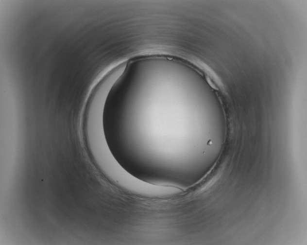 X0000111380885200907311051