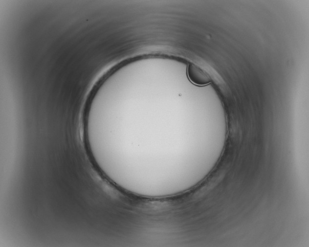 X0000111380888200907311051