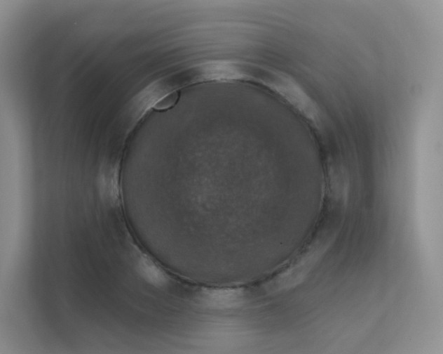 X0000111380889200907311051