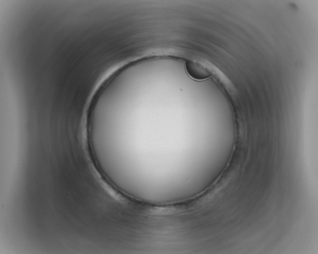 X0000111380894200907311051