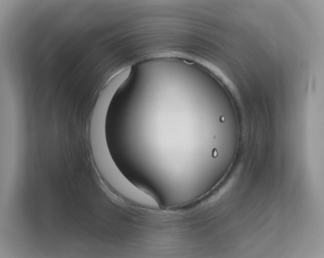 X0000111380897200907311051