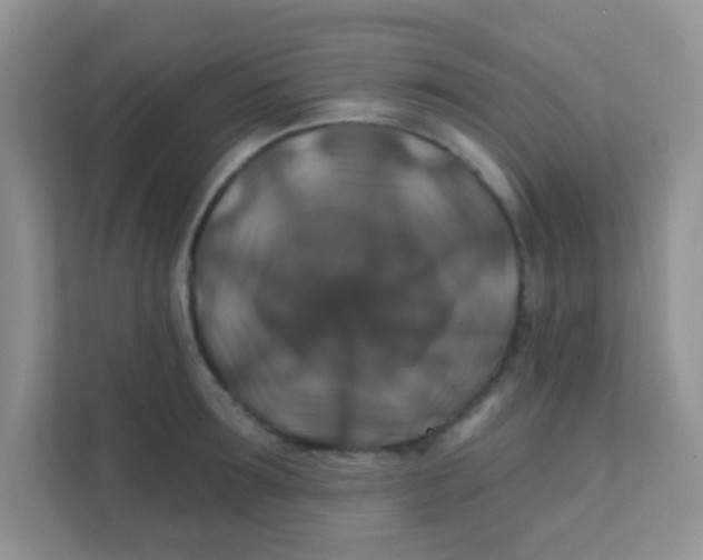 X0000111380899200907311051