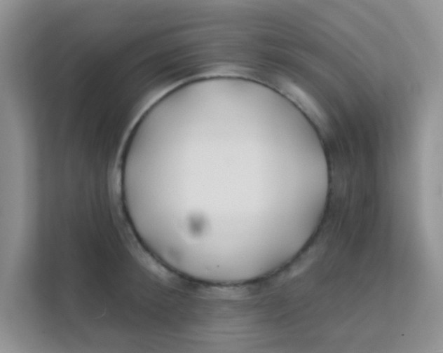 X0000111380900200907311051