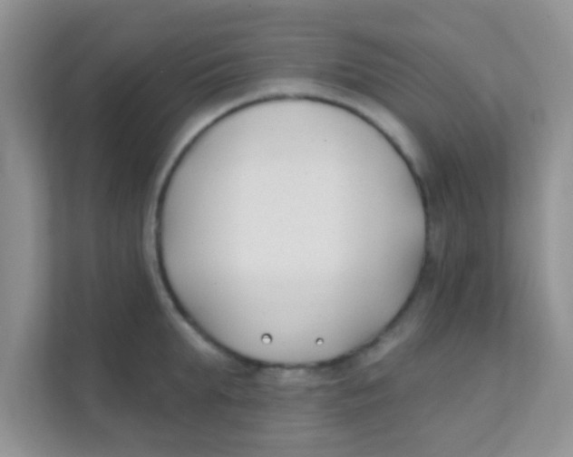 X0000111380903200907311051