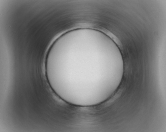 X0000111380904200907311051