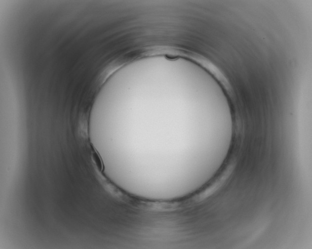 X0000111380905200907311051