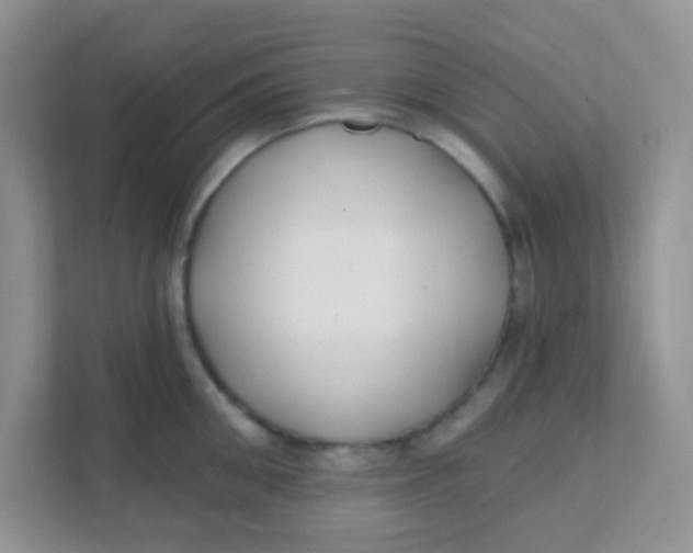 X0000111380906200907311051