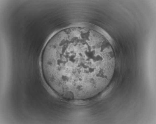 X0000111380907200907311051