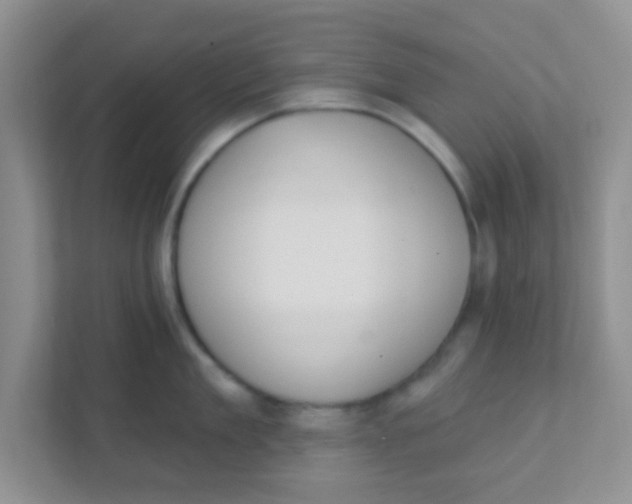 X0000111380909200907311051