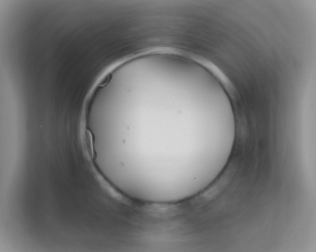 X0000111380910200907311051