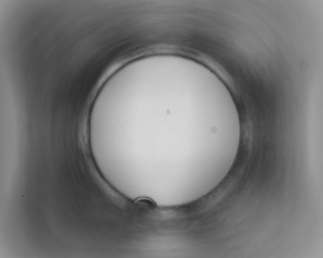 X0000111380911200907311051