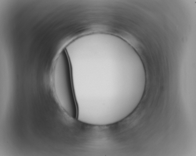 X0000111380912200907311051