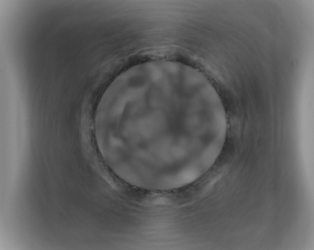 X0000111380913200907311050