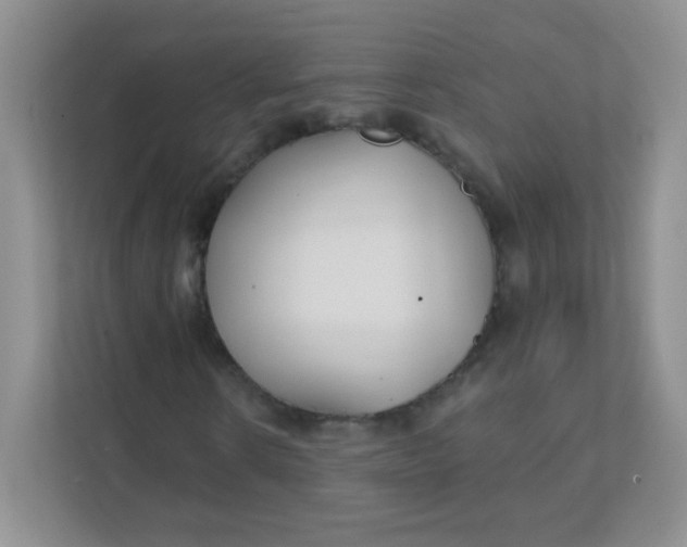 X0000111380914200907311050