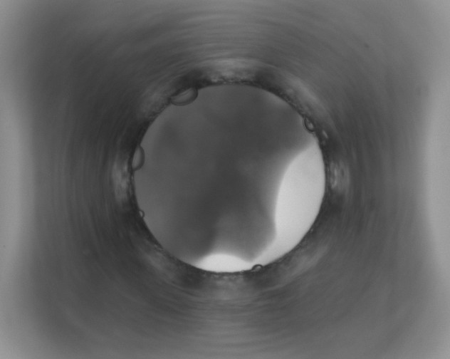 X0000111380915200907311050