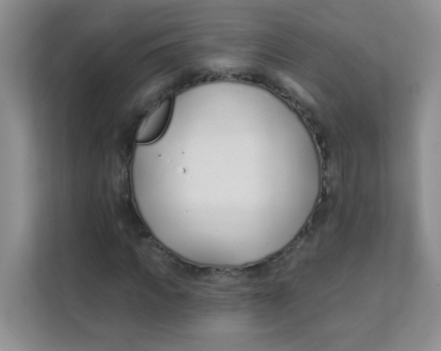 X0000111380917200907311050