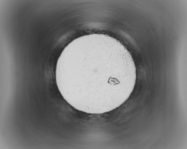 X0000111380918200907311050